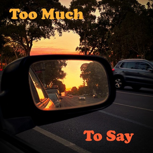 Too Much to Say