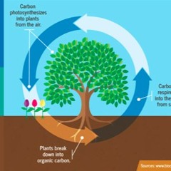 Breakthrough Perspective On Environmentalism With Rory Turnbull Of Gaiazyme And Earth Health Trust