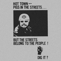 TOWN FULLA PIGS