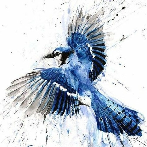 Синяя птица (original solo version)