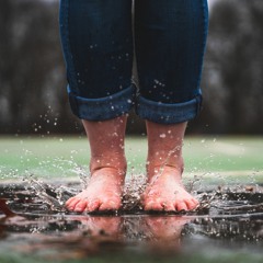 Summer Rain