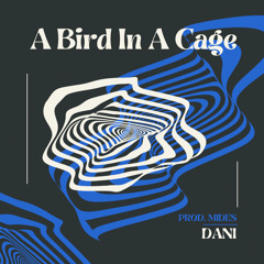 A BIRD IN A CAGE