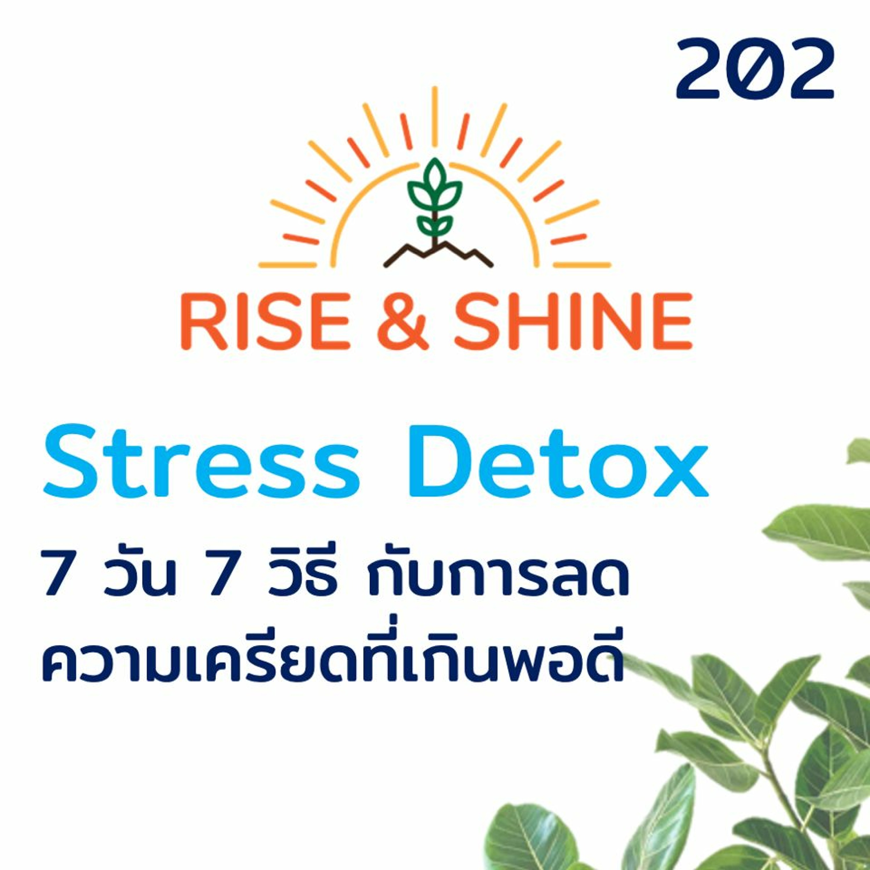 Rise & Shine 202 Stress Detox 7 วัน 7 วิธี ช่วยลดความเครียดที่เกินพอดี
