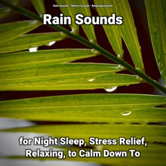 Rain Sounds for Stress Relief and Relaxing Pt. 10