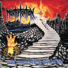 This Momentary Affliction