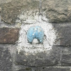 Half a Blue Pig