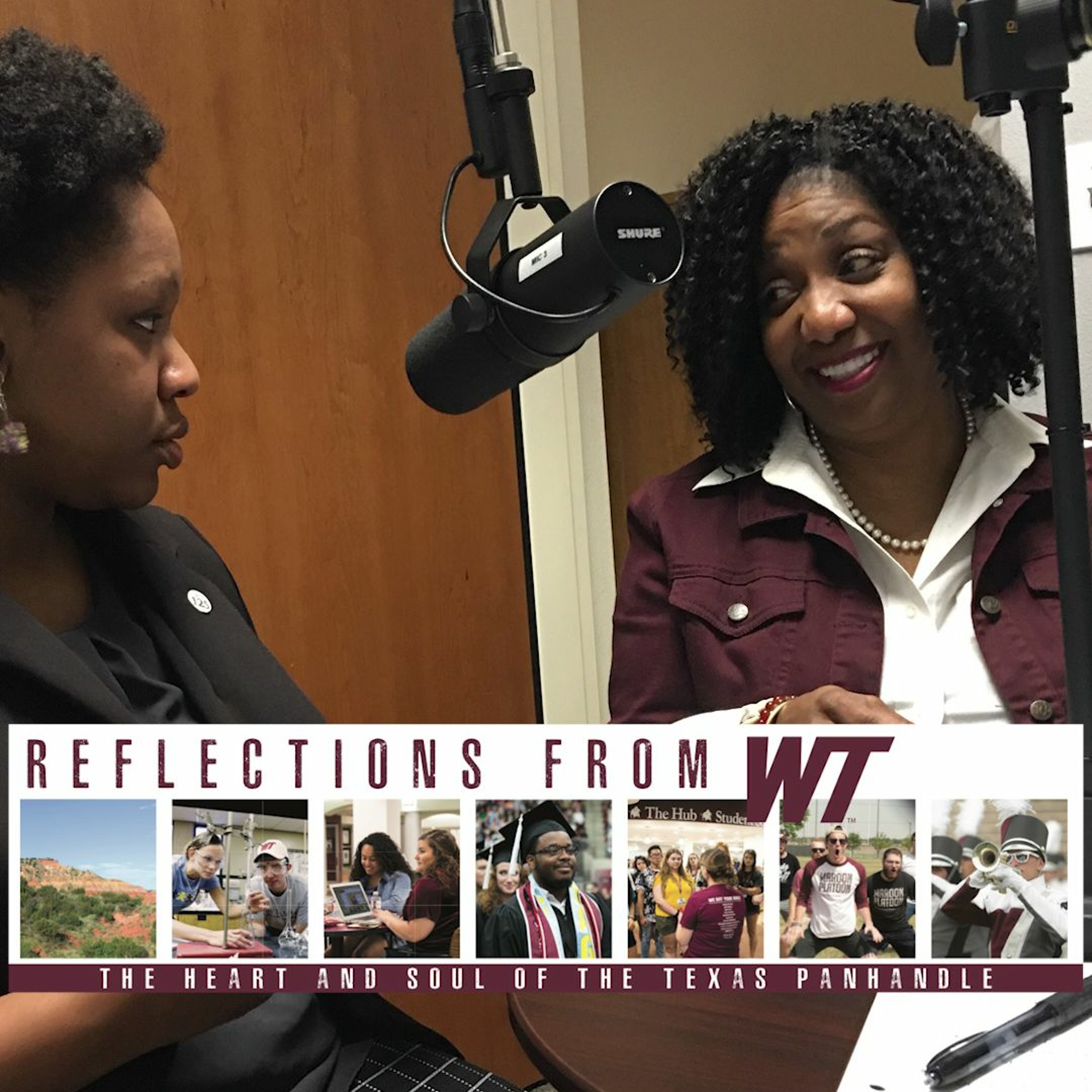 Reflections from WT