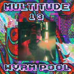 M U L T I T U D E : 1 3 - WVRM POOL