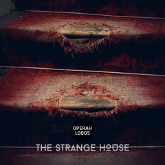 The strange house