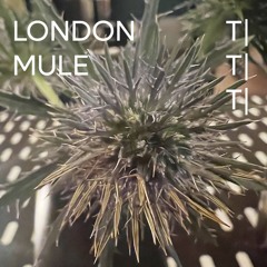 Dérive | Moguntia - London Mule