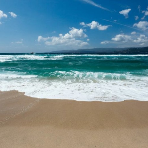 ออสเตรียออสซีดีออคคูเลอร์ tiktok background FREE DOWNLOAD