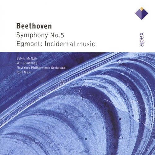 Symphony No. 5 in C Minor, Op. 67: I. Allegro con brio