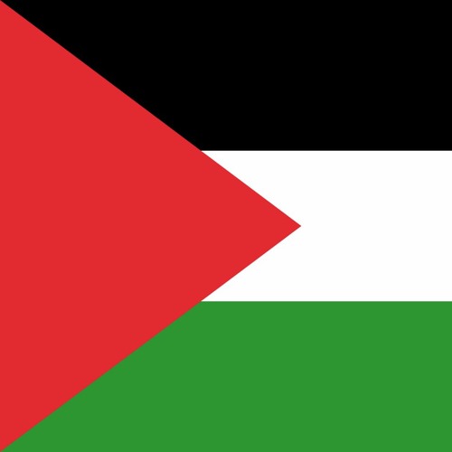 Unipolar US backs Israel and blocks Palestine