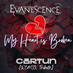 Evanescence x Cartun - My Heart Is Broken (Remix Tribute)