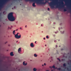 Day Jam 🎸🎹🥁