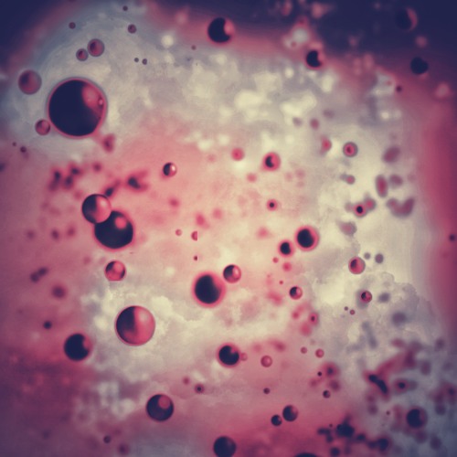 Day Jam 🎸🎹🥁