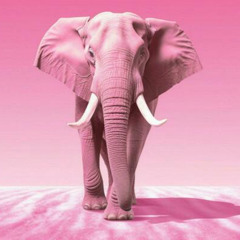 pink elephant 2025