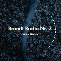 Brandt Radio Nr.3