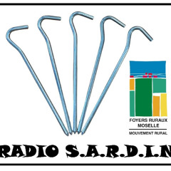 Radio Sardine 1