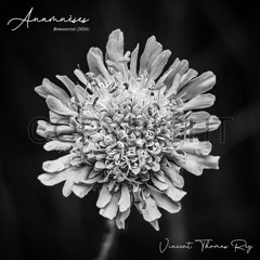 "Le Temps d'un Souvenir (Anamnèse IV) (version remasterisée 2024)" (© Extrait) Album "Anamnèses"
