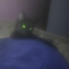 SÓTRACKBOA - AS MELHORES TRACKS DE 2021 DJ CLOVISSANTOS VOL.01 SET VINTAGECULTURE , FANCY INC, ALOK