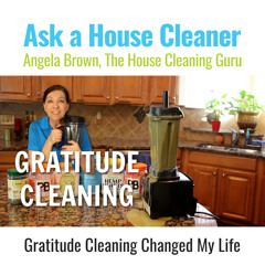 I Tried Gratitude Cleaning and Here's What Happened !!!
