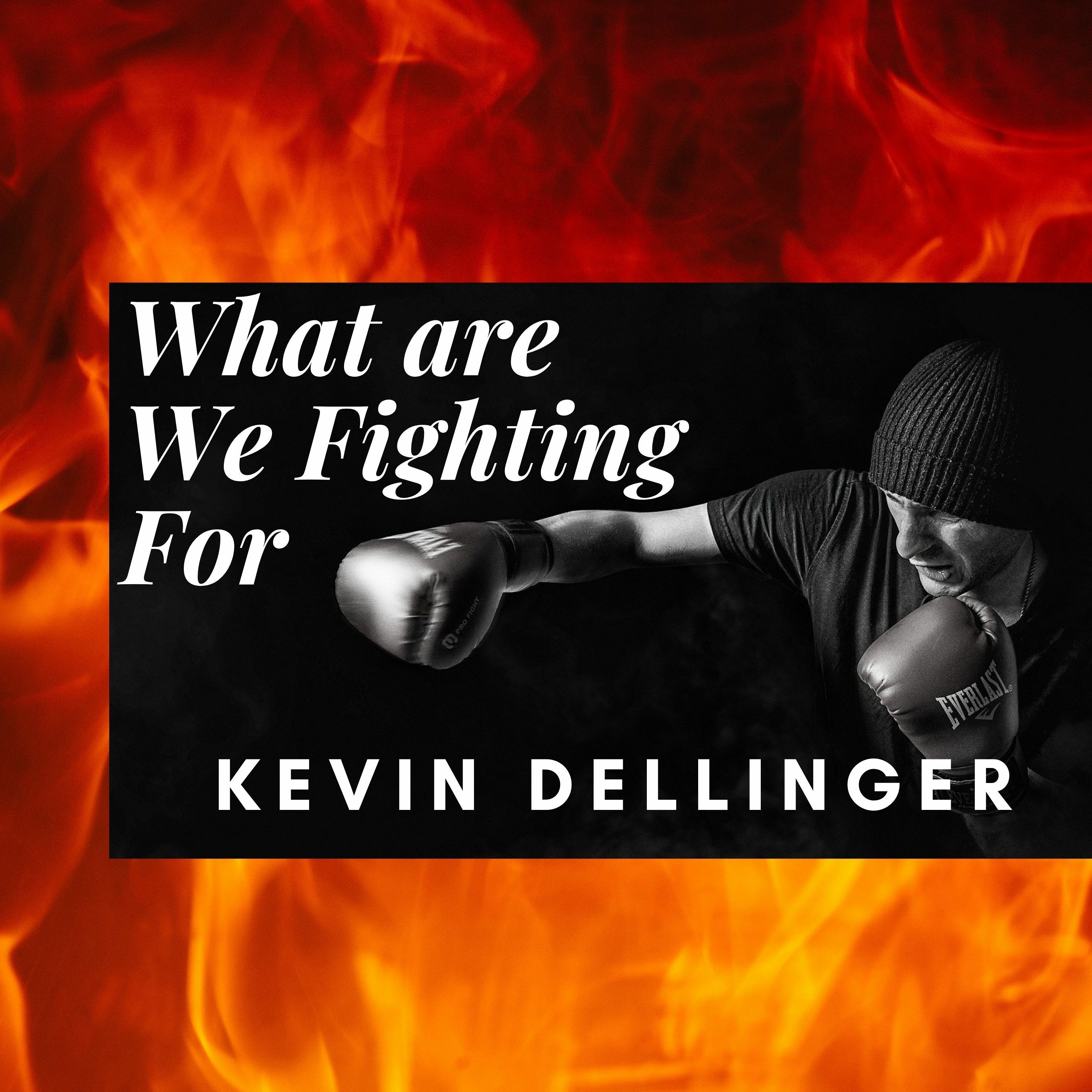 What are We Fighting For? episode artwork