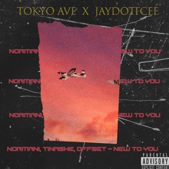 Normani x Tinashe x Offset - new to you. [Tokyo Ave x JayDottCee remix]