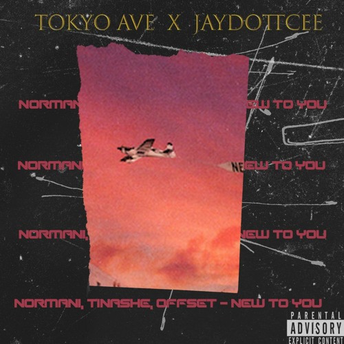 Normani x Tinashe x Offset - new to you. [Tokyo Ave x JayDottCee remix]