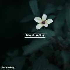 MyceliumBug - Parrot