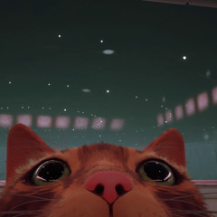 mais j'peux rien faire contre toi