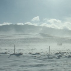 Super 8 Commercial Williams Arizona