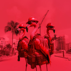 Fly Away [No Autotune]