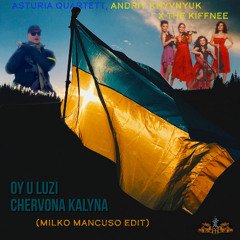Asturia Quartett, Andriy Khyvnyuk x The Kiffnee - Oy U Luzi Chervona (Milko Mancuso Edit) 💙💛