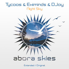 Night Sky (Extended Mix)