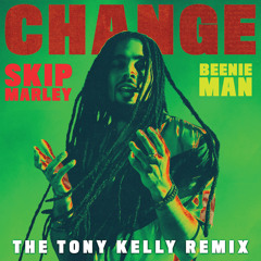 Change (The Tony Kelly Remix)