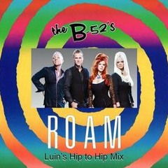 B52s - Roam (Luin's Hip To Hip Mix)