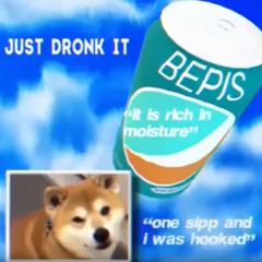 bepis wave xr