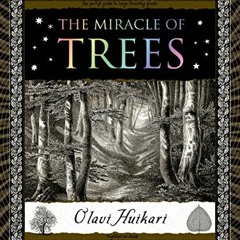 GET [KINDLE PDF EBOOK EPUB] The Miracle of Trees (Wooden Books) by  Olavi Huikari 📩