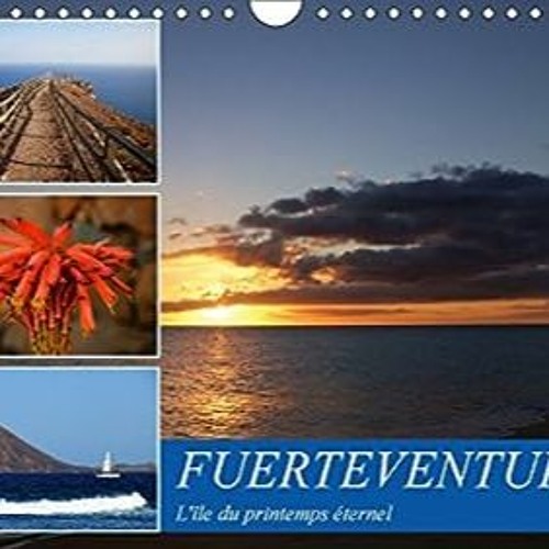 ⬇️ READ EBOOK FUERTEVENTURA L LE DU PRINTEMPS ETERNEL CALENDRIER MURAL 201 Full