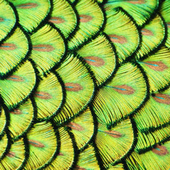 On The Flo x Woah Woah Ledger Mix