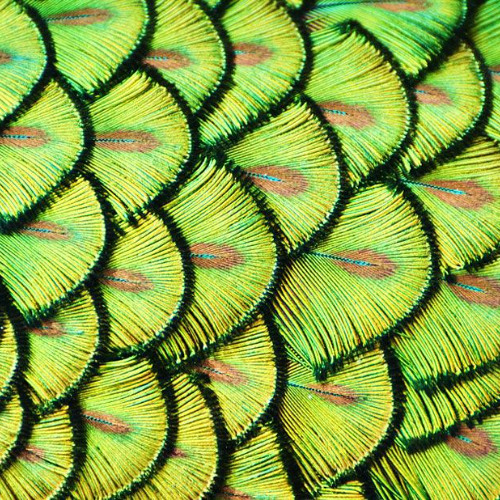 On The Flo x Woah Woah Ledger Mix