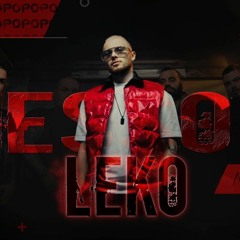 VESSOU - Leko (DEXTER XTD) 84