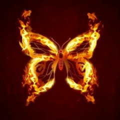Butterfly On Fire
