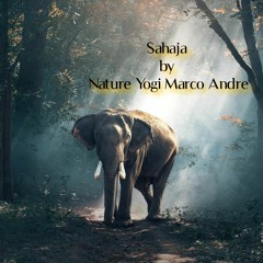 Sahaja By Nature Yogi Marco Andre