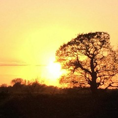 Relaxing Music Playlist #3