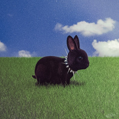 quinnie - touch tank (cover)