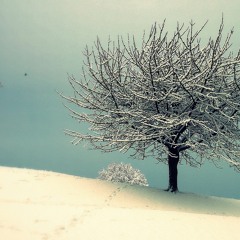 Dim Outline Of Memories