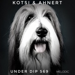 K&A UNDER DIP Ep.569 Melodic House & Techno (124bpm) Favs