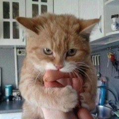 RRRRAWR